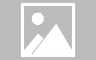 慈利网页设计师周记（网页设计周记26篇300字）