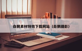 慈利白鹅素材特效下载网站（白鹅摄影）
